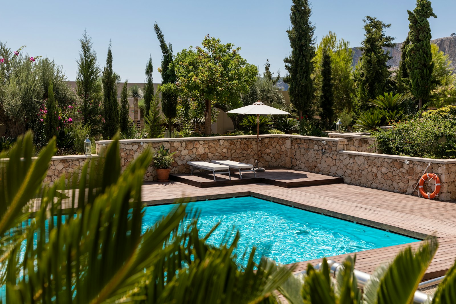 Dolphin Pools — Custom Pool Builder in Scottsdale